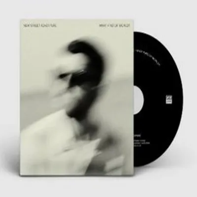 Produktbild von What Kind Of World?