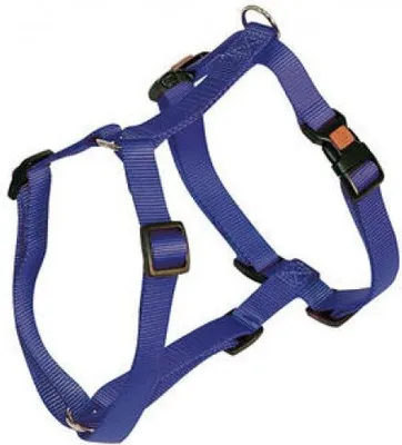 Image de Harnais Miami avec fermeture Safety Fix bleu 40 - 57 cm