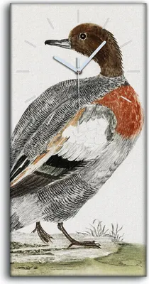 Produktbild von Wandbild Leinwand Bilder mit Uhr 30x60 Zeichnung Tier Vogel Ente Kunst - weiße Hände