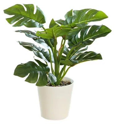 Produktbild von Simulierte Bonsai-Pflanze, lebensechte dekorative künstliche Zimmerpflanzen für Zuhause, 61894