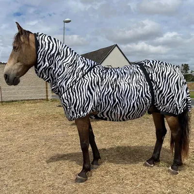 Produktbild von Ekzemerdecke mit Halsteil – Spezial-Zebradesign zur Insektenabwehr Größe (Pferdedecke) - 115 cm