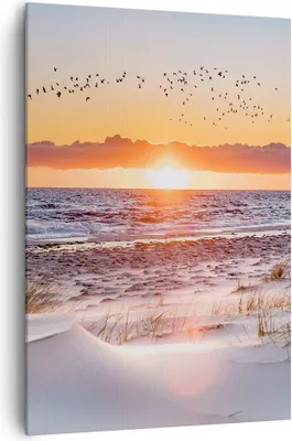 Produktbild von Bild auf Leinwand - Leinwandbild - Einteilig - Sonne Strand Vögel - 70x100cm - Wand Bild - Wanddeko - Wandbilder - Leinwanddruck - Wanddekoration - Leinwand bilder - Wandbild - PA70x100-4727
