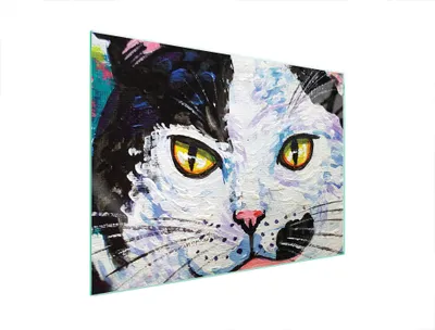 Produktbild von Glasschutzplatte Für Herd 70X52 Cat