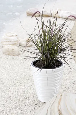 Produktbild von Pflanzentopf Ø 29,6 cm