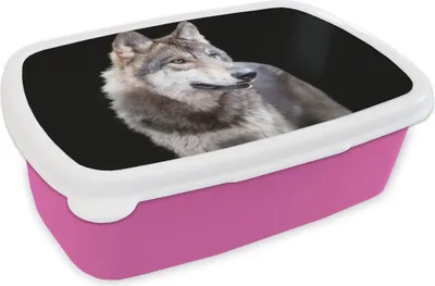 Produktbild von KitchenYeah® Lunchbox Brotzeit Brotdose 17x11 cm Grauer Wildwolf Kinder Brotzeitdose - Lunchpaket - Brotkasten  - Sandwich Box