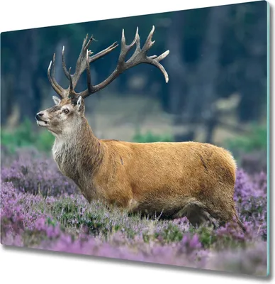 Produktbild von Glas Herdabdeckplatte 60x52 cm Spritzschutz Glasabdeckplatte Schneidebrett Hirsch im Lavendel