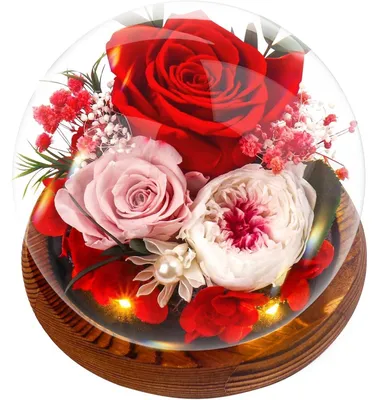 Image de Rose éternelle dans un vase en verre avec un socle en bois, rose infinie conservée, cadeau pour femmes, fête des mères, anniversaire, anniversaire de mariage, rouge