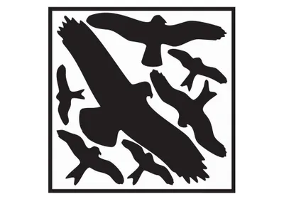Produktbild von BSB OBPACHER Fenster-Aufkleber Warnvögel