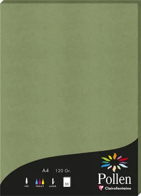 Image de Pollen by Clairefontaine Papier DIN A4 120 g/qm vert sauge 50 feuilles