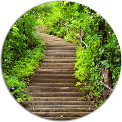 Produktbild von Wallario rundes Outdoor-Poster für Garten oder Balkon, Motiv Steintreppe im Wald, 90 cm Durchmesser