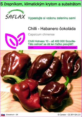 Obrázok produktu pre SAFLAX Garden to go - Chilli - Habanero čokoláda - Capsicum chinense - 10 Semená - S črepníkom, klimatickým vekom a pestovateľským substrátom