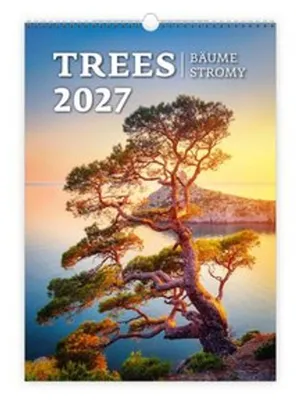 Produktbild von TRÖTSCH - Wandkalender Trees 2027