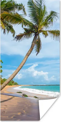 Produktbild von MuchoWow® Poster Palme - Strand - Meer 20x40 cm - Plakat - Foto