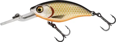 Produktbild von Westin BuzzBite Crankbait 6cm (10g) Suspending Official Roach