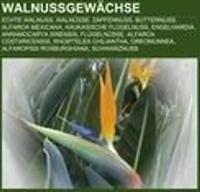 Produktbild von Walnussgewächse