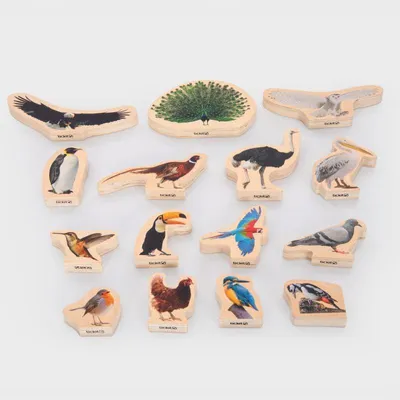 Image de Blocs de photomontage d'oiseaux en contreplaqué de bouleau - Ensemble de 15 pièces recto-verso