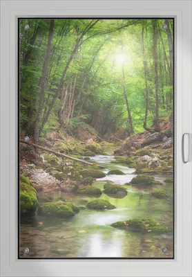 Produktbild von Wallario Lichtschutzbild, Dekorativer Sichtschutz Sonnenschutz 60 x 93 cm mit Motiv: Fluss im Wald - Verdunklung ohne Bohren