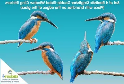 Produktbild von Vogel Fenstersticker Glasdekor für Fensterbank