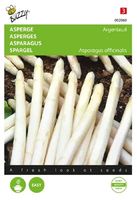 Produktbild von Spargel Argenteuil | Spargelsamen von Buzzy Seeds
