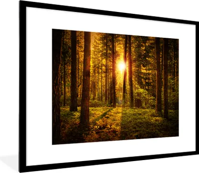 Produktbild von MuchoWow® Gerahmtes Poster Wald - Sonne - Bäume - Natur - Sonnenuntergang 80x60 cm - Poster mit Schwarzem Bilderrahmen Wandposter Rahmen Foto Bilder - Schlafzimmer-Dekorationen - Fotoposter