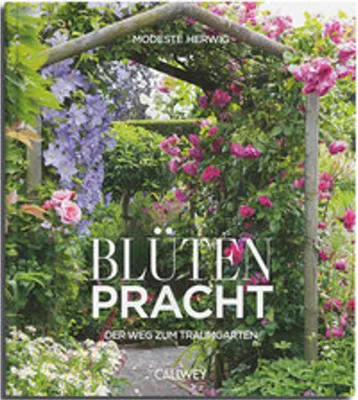 Image de Blütenpracht
