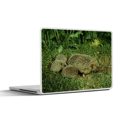 Produktbild von MuchoWow® Laptop Aufkleber Sticker Cover Igel mit drei Igelbabys 25x18 cm - Laptop-Deko