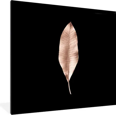 Produktbild von MuchoWow® MuchoWow® Gerahmtes Poster Blatt - Gold - Rosa 40x40 cm - Poster mit zchwarzem Bilderrahmen - Mit Rahmen - Wanddekoration Schlafzimmer
