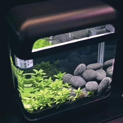 Imagen del producto de El moderno set de acuario nano EasyTank, con cristal curvo, filtración integrada y iluminación LED, tiene una capacidad de 7 litros