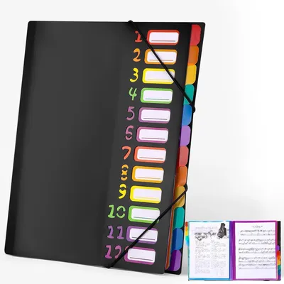 Produktbild von Dokumentenmappe A4 mit 12 Fächern, Tragbar, Schwarz
