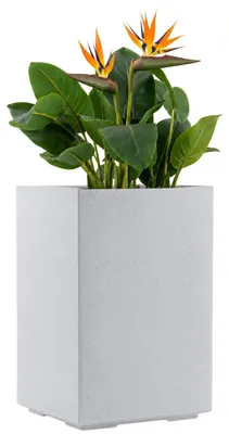 Produktbild von HowHomely Pflanzgefäß Blumenkübel Pflanztopf H60x40x40 cm auf Rädern creme Deko