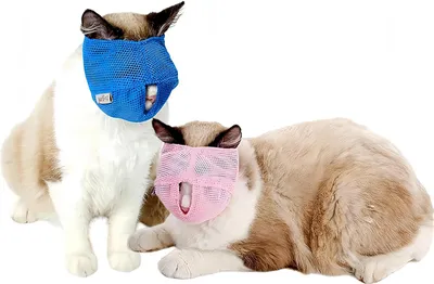 Immagine prodotto di Museruola per gatti - regolabile e traspirante - set di 2 - in rosa e blu - ideale per l'addestramento alla toilette