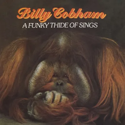 Produktbild von Cobham, B: Funky Thide Of Sings