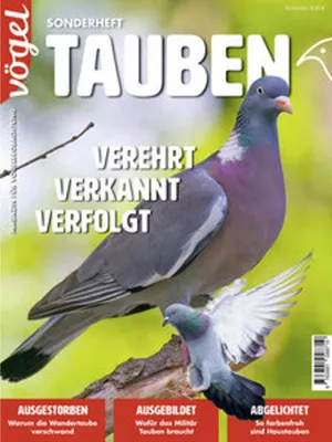 Produktbild von Tauben