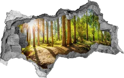 Produktbild von Selbstklebender Loch-3D-Aufkleber 95x73 cm Panorama Wald