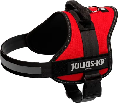 Obrázok produktu pre Julius-K9® Powerharness®, veľkosť 0-3 58-76 cm/40 mm červená