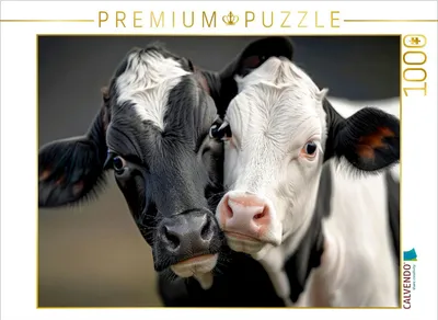 Produktbild von CALVENDO Puzzle Bezaubernde Gesichter | 1000 Teile Lege-Größe 64x48cm Foto-Puzzle für glückliche Stunden