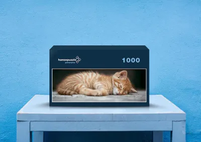 Produktbild von hansepuzzle 30105 - Katze Puzzle, 1050 Teile, Tierwelt, 60,0 x 46,0cm mit hochwertiger Aufbewahrung, Kartonbox und wiederverschließbarem Beutel