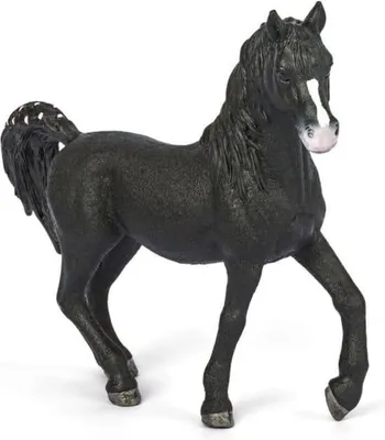Zdjęcie produktu dla schleich 72134, 3 lat(a), Wielobarwny, Plastik