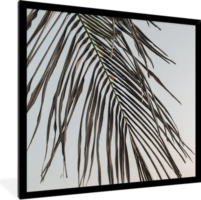 Produktbild von MuchoWow® Gerahmtes Poster Sommer - Blatt - Palme 40x40 cm - Poster mit Schwarzem Bilderrahmen Wandposter Rahmen Foto Bilder - Mit Rahmen - Wanddekoration Schlafzimmer