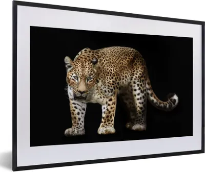 Produktbild von MuchoWow® Gerahmtes Poster Leopard - Wild - Schwarz 60x40 cm - Poster mit Schwarzem Bilderrahmen Wandposter Rahmen Foto Bilder - Schlafzimmer - Plakat in Rahmen - Drucken