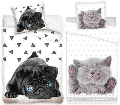 Produktbild von Tier-welpen - 2 x Bettwäsche-Set, Katze und Hund, 135x200 & 80x80