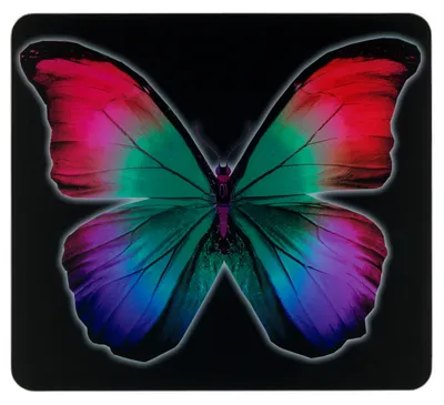 Image de WENKO Multi Plaque Couverture Cuisine Planche à découper Butterfly by Night