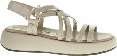 Produktbild von Sandalen , 11-Deutsch:37, Color:grün