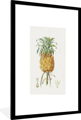Produktbild von MuchoWow® Gerahmtes Poster Ananas - Obst - Lebensmittel 60x90 cm - Poster mit Schwarzem Bilderrahmen Wandposter Rahmen Foto Bilder - Dekoration - Wandposter Wohnzimmer - Hochwertig