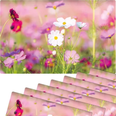Produktbild von Abwaschbare Tischsets 8er Set Blumen-Wiese pink weiß