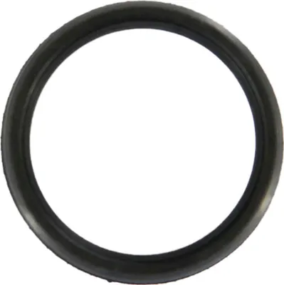 Produktbild von O-Ring Wasserpumpe Rohr Thermostat 55185066