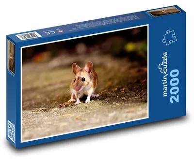 Zdjęcie produktu dla martinpuzzle - Puzzle 2000 - Mała myszka na drodze
