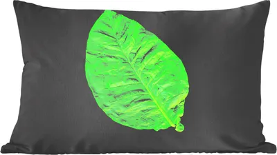 Produktbild von MuchoWow® Zierkissen Sofakissen Wohnzimmer Dekokissen 50x30 cm Grüne Blätter auf schwarzem Hintergrund - Wohnzimmerdekoration - Polster mit Photo