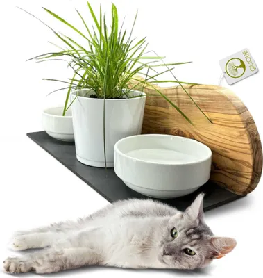 Produktbild von Futterstation für Katzen aus Olivenholz - Handgefertigte Katzenfutterstation