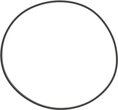 Immagine prodotto di Guarnizione coperchio frizione WINDEROSA W817930